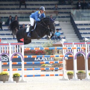 Dominator 2000 Z – elite show jumping stallion with strong lineage and 1.70m jumping