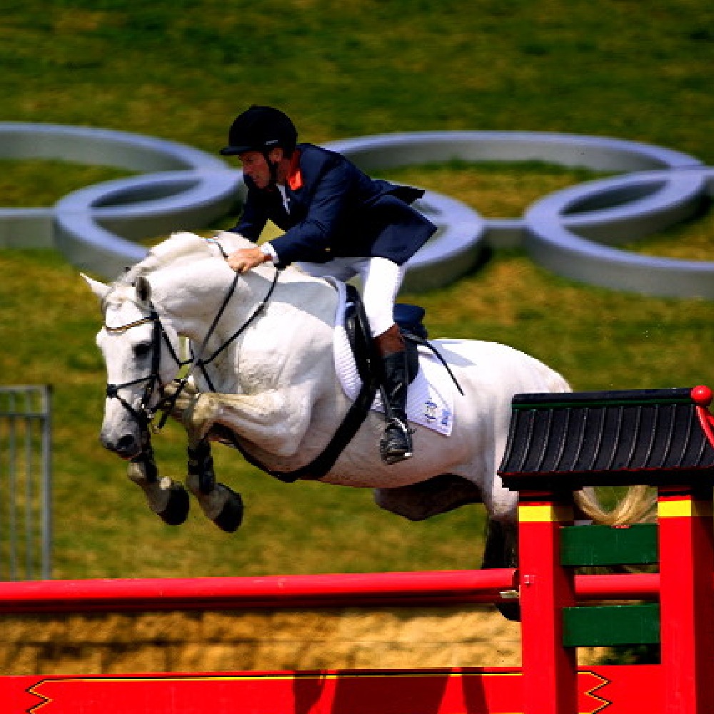 Carthago, padrillo tordo nacido en 1987, competidor de salto 1.60m, hijo de Capitol I y Perra