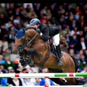 Chacco-Blue, padrillo café nacido en 1998, destacado en salto 1.60m, hijo de Chambertin y Contara