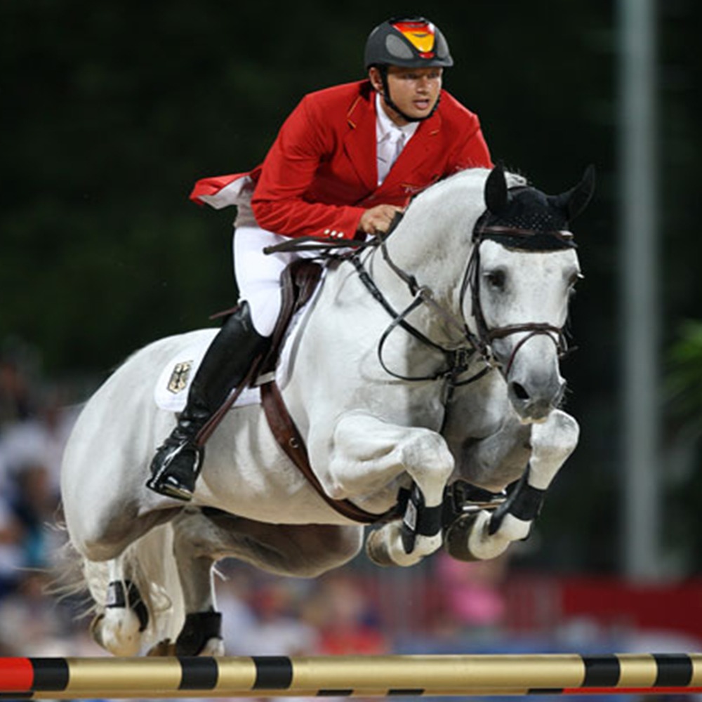 Cornet Obolensky, padrillo tordo nacido en 1999, destacado en salto 1.60m, hijo de Clinton y Rabanna van Costersveld