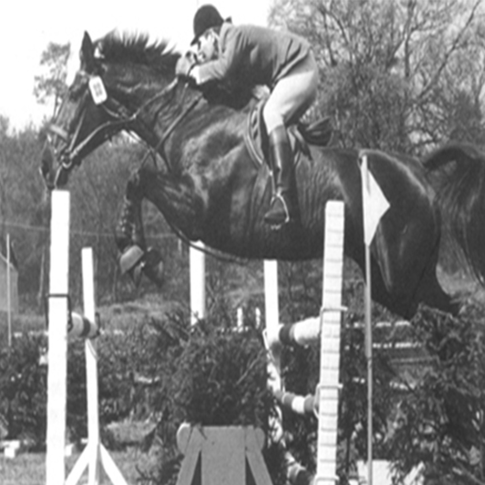 Ramiro Z, padrillo café oscuro nacido en 1965, destacado en salto 1.60m, hijo de Raimond y Valine.