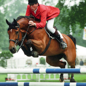 Dominator 2000 Z x Chellano Z x Ramiro Z