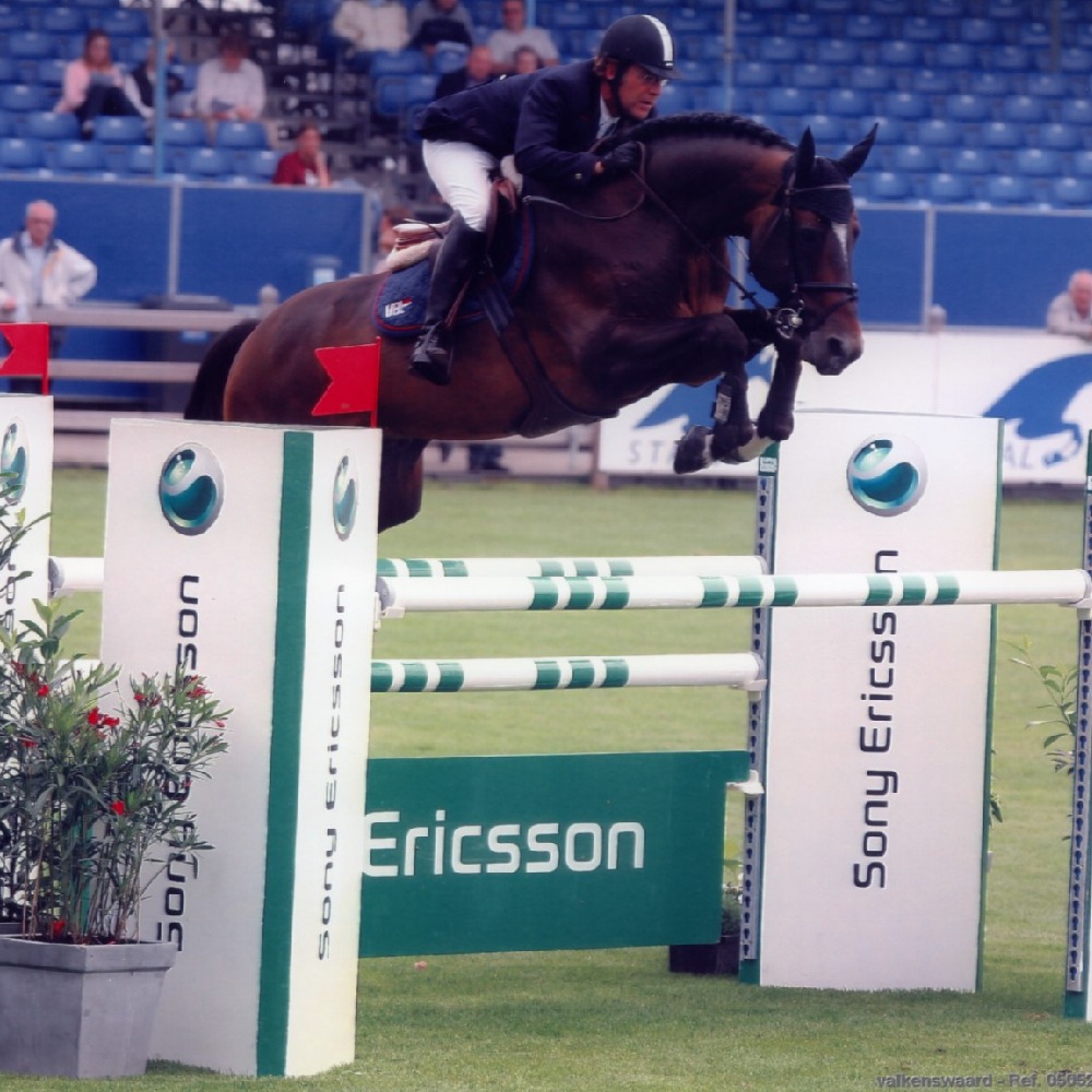 Toulon, padrillo café oscuro nacido en 1996, destacado en salto 1.60m, hijo de Heartbreaker y Nikita