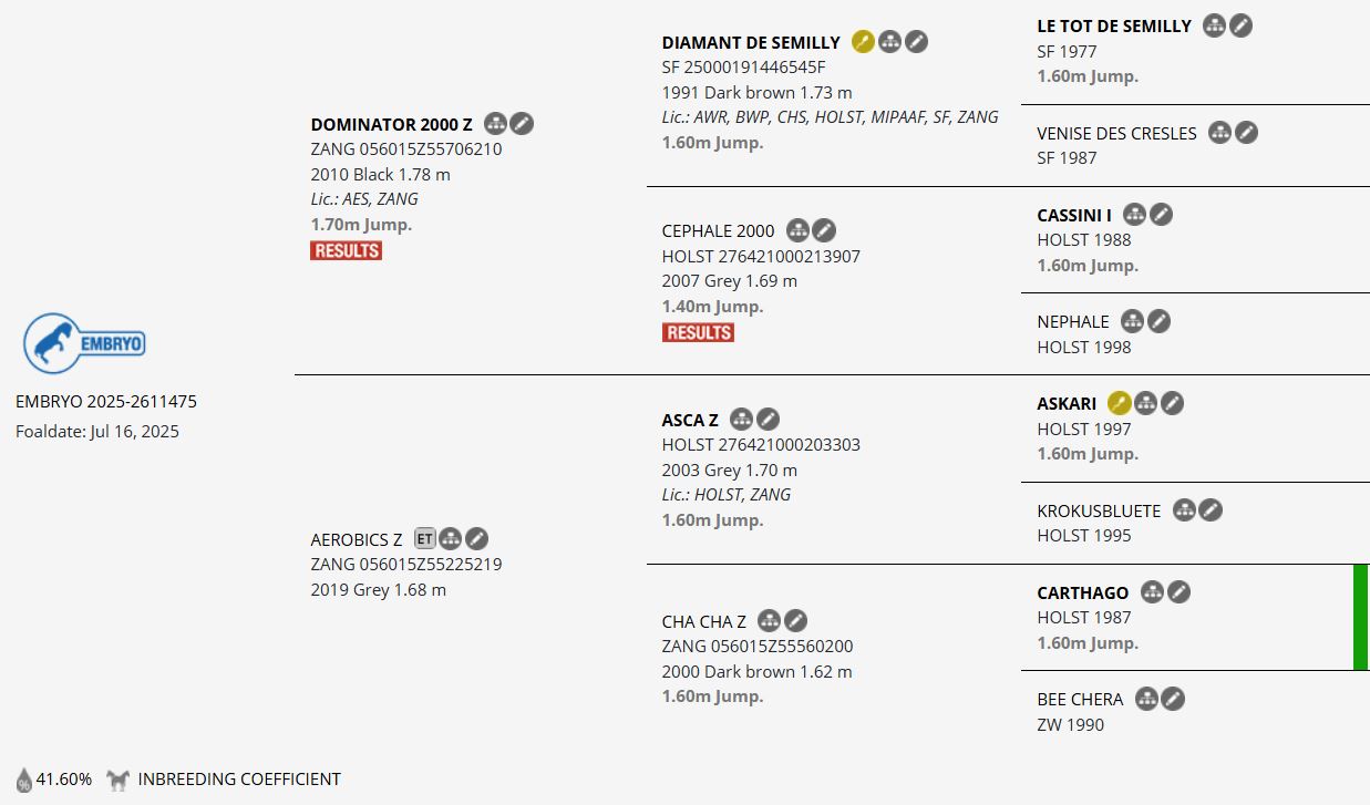 Implanted Embryo Dominator 2000 Z x Asca Z x Carthago - Elite 1.60m Show Jumping Genetics