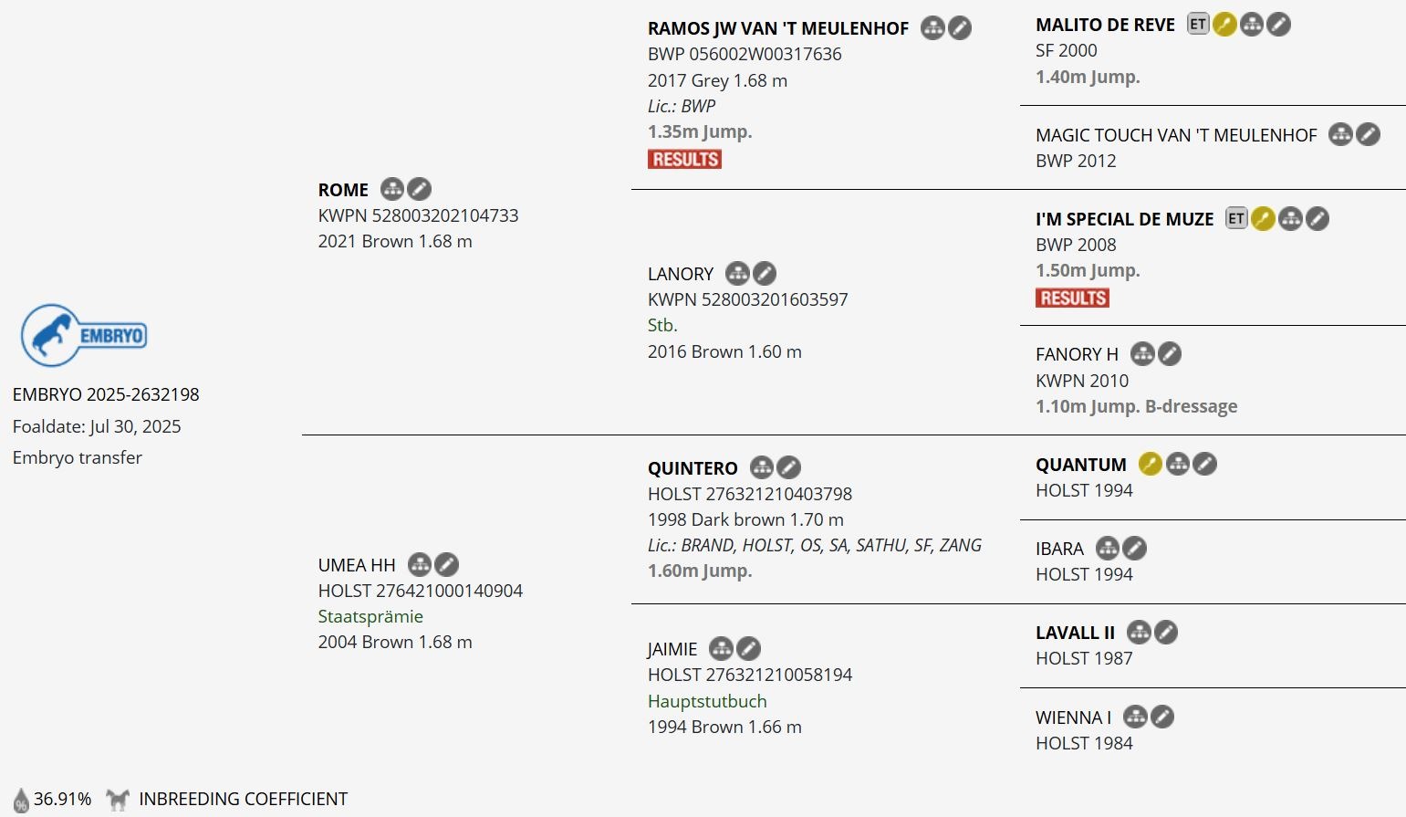 Implanted Future Champion Foal from Rome and Umea HH, elite show jumping lineage with 1.60m performance genetics