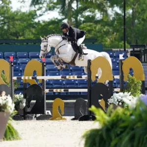 Cassini Gold x Im Special de Muze x Clinton